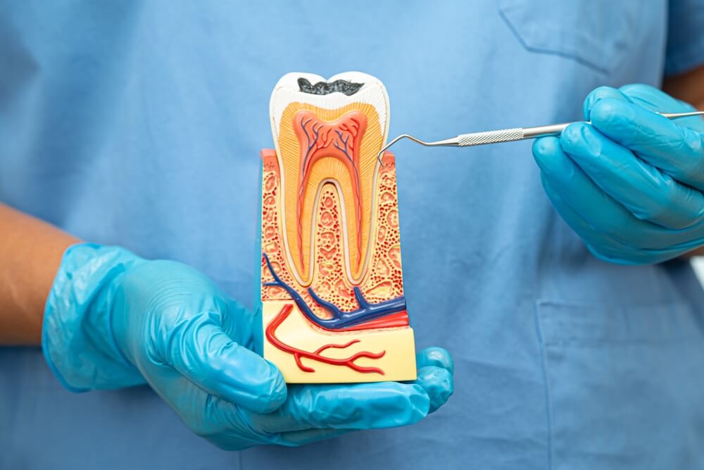 What To Expect Before And After Root Canal Treatment?